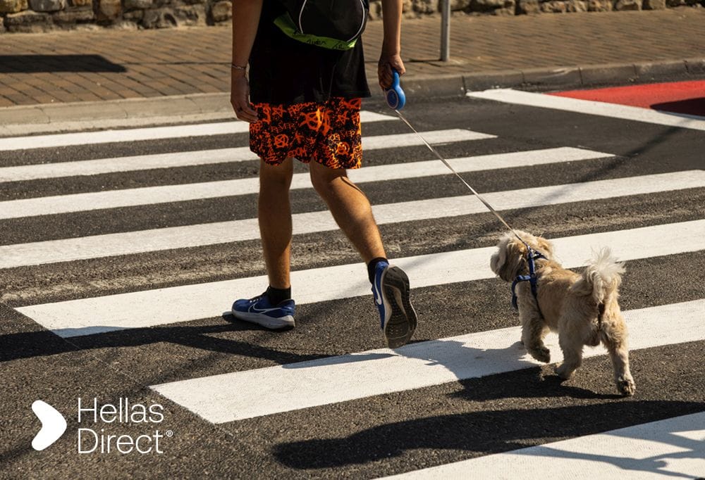 a young man walking on a crossing with his dog